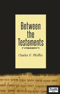 bokomslag Between The Testaments