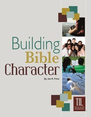 bokomslag Building Bible Character