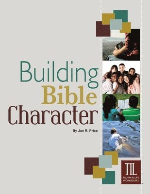 bokomslag Building Bible Character: Helping Teens Rise Above the World