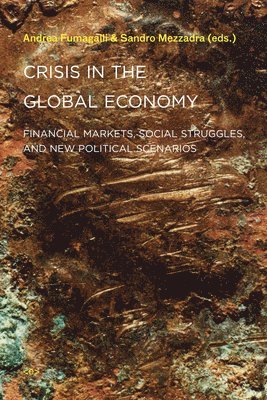 Andrea Fumagalli, Sandro Mezzadra - Crisis in the Global Economy, Häftad
