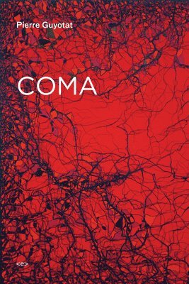 Pierre Guyotat - Coma, Häftad