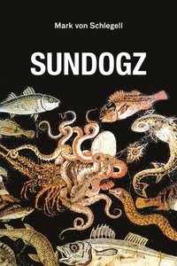 bokomslag Sundogz