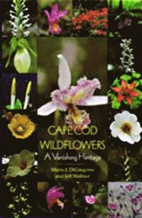 bokomslag Cape Cod Wildflowers
