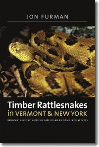 bokomslag Timber Rattlesnakes in Vermont & New York