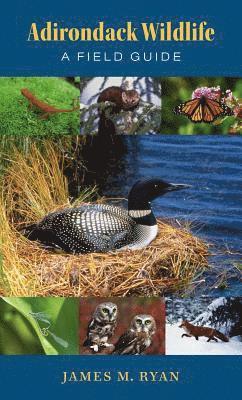 bokomslag Adirondack Wildlife