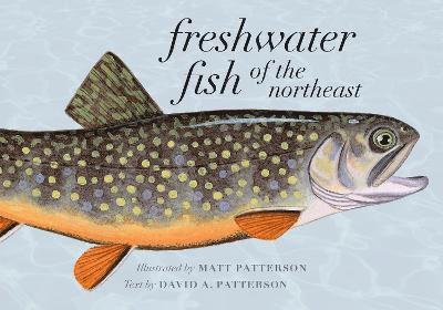 Freshwater Fish of the Northeast 1