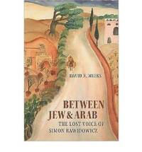 bokomslag Between Jew and Arab