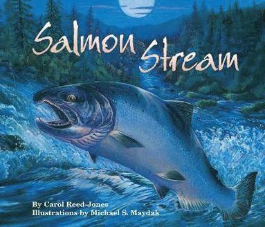 bokomslag Salmon Stream