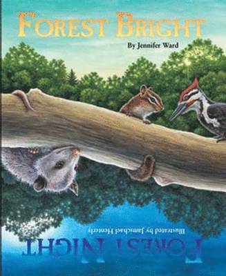 Jennifer Ward - Forest Bright, Forest Night, Häftad