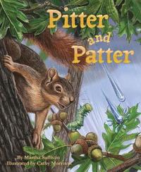bokomslag Pitter and Patter