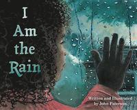 bokomslag I Am the Rain