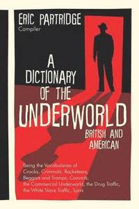 bokomslag Dictionary of the Underworld