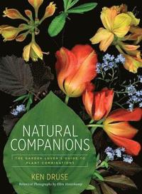 bokomslag Natural Companions