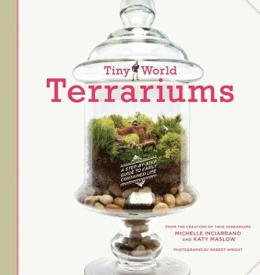 Tiny World Terrariums: Guide 1