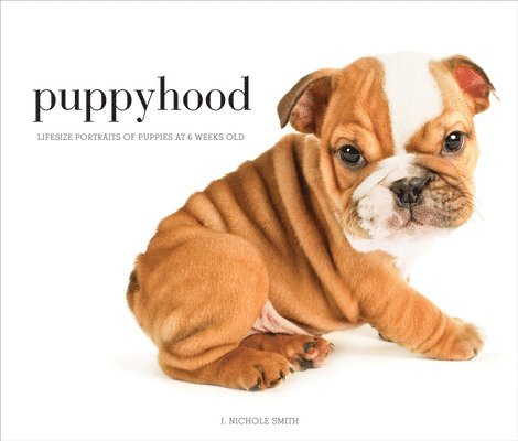J. Nichole Smith, J Nichole Smith - Puppyhood, Inbunden