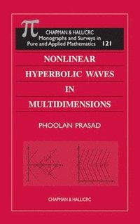 bokomslag Nonlinear Hyperbolic Waves in Multidimensions