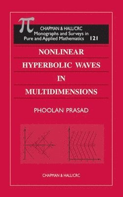 bokomslag Nonlinear Hyperbolic Waves in Multidimensions