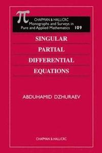 bokomslag Singular Partial Differential Equations