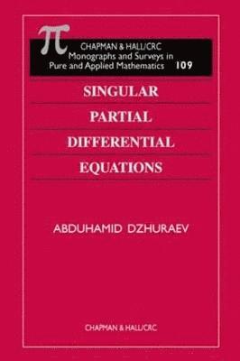 Singular Partial Differential Equations 1