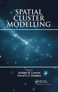 bokomslag Spatial Cluster Modelling