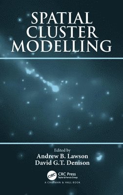 bokomslag Spatial Cluster Modelling