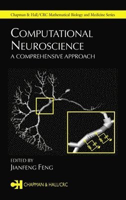 Computational Neuroscience 1