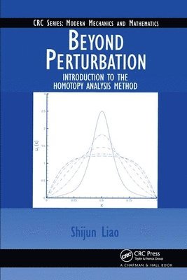 bokomslag Beyond Perturbation