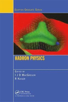 Hadron Physics, Inbunden