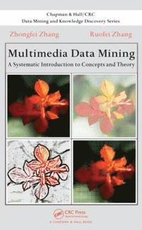 bokomslag Multimedia Data Mining