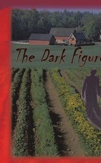 bokomslag The Dark Figure