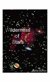 bokomslag A Wilderness of Stars
