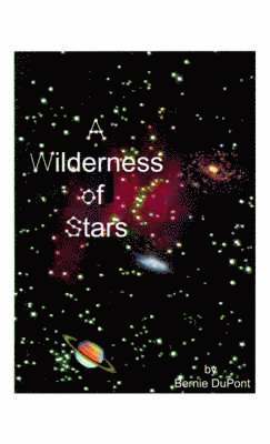 A Wilderness of Stars 1