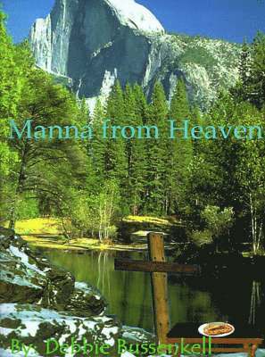 Debbie Busenkell - Manna from Heaven, Häftad