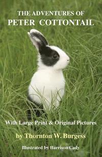 bokomslag Adventures of Peter Cottontail