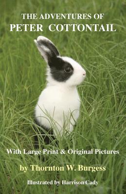 bokomslag Adventures of Peter Cottontail