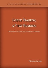 bokomslag Greek Tragedy, a First Reading