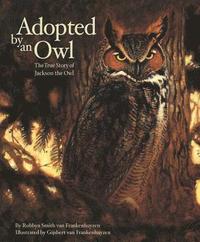 bokomslag Adopted by an Owl: The True Story of Jackson the Owl