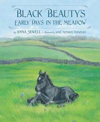 bokomslag Black Beauty's Early Days in the Meadow