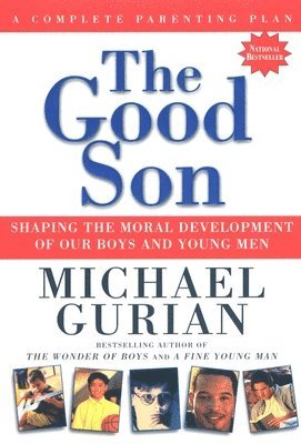bokomslag The Good Son