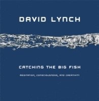 bokomslag Catching the Big Fish: Meditation, Consciousness, and Creativity