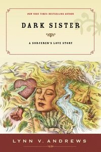 bokomslag Dark Sister