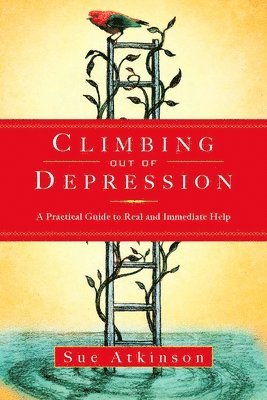 bokomslag Climbing Out of Depression