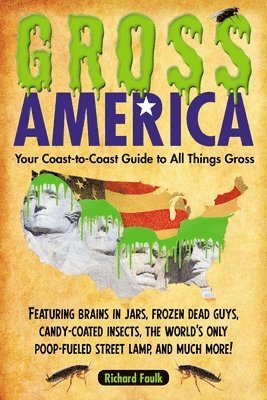Richard Faulk - Gross America, Häftad