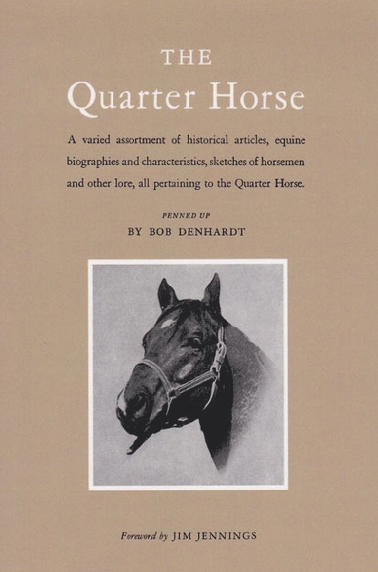 Quarter Horse 1