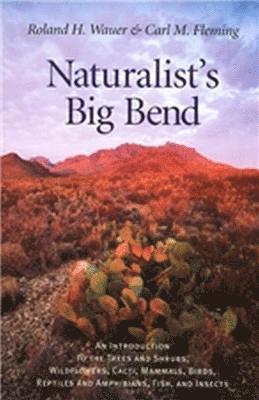 Naturalist's Big Bend 1