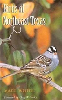 bokomslag Birds of Northeast Texas