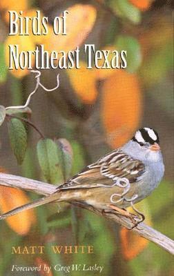 Matt White - Birds of Northeast Texas, Häftad