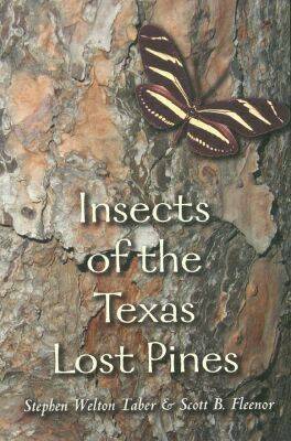 bokomslag Insects of the Texas Lost Pines