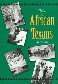 bokomslag The African Texans