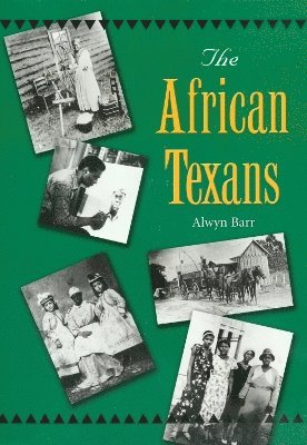 bokomslag The African Texans